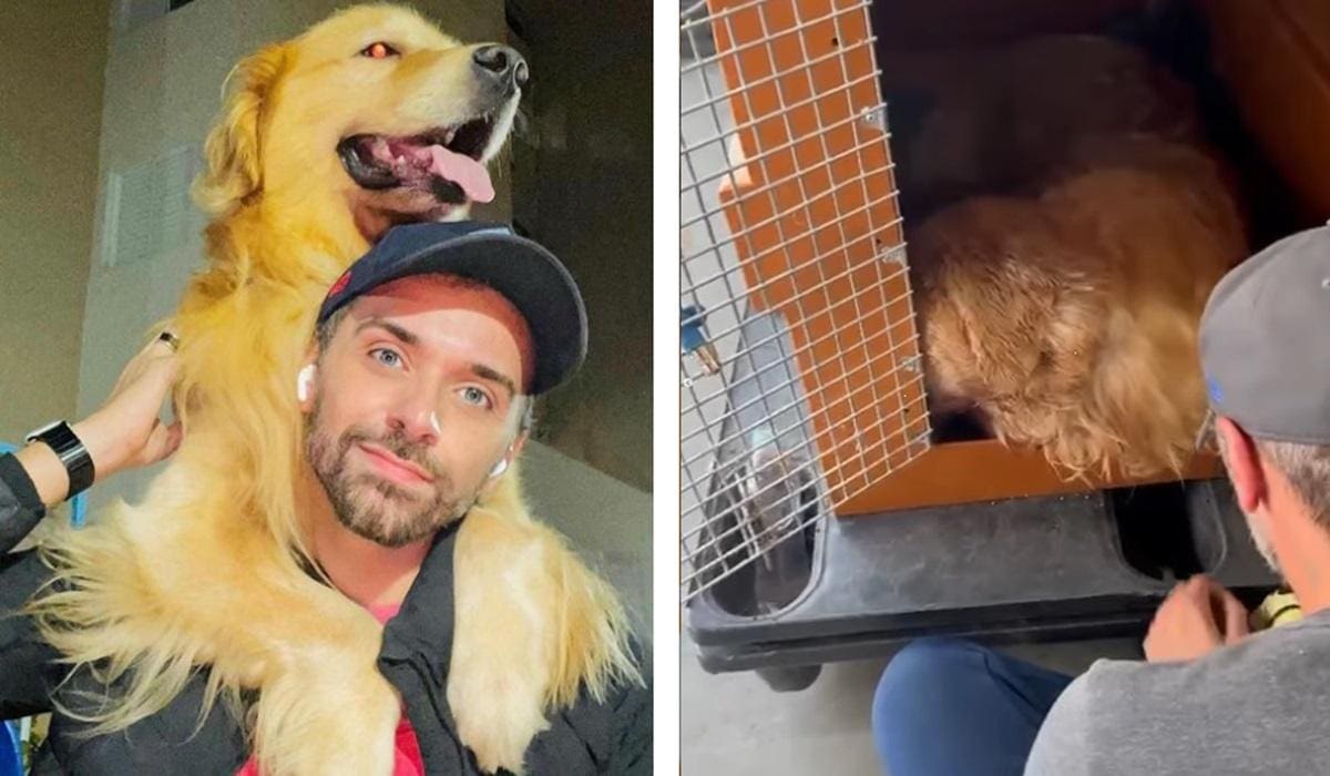 Fotos mostram o tutor do cão com ele e, também, na hora em que ele soube da morte durante a viagem